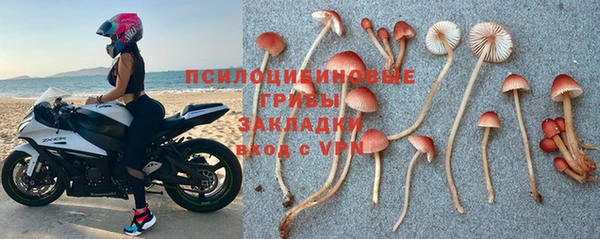 кокс Верея