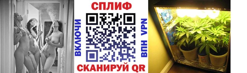 Бошки марихуана сатива  Нюрба 